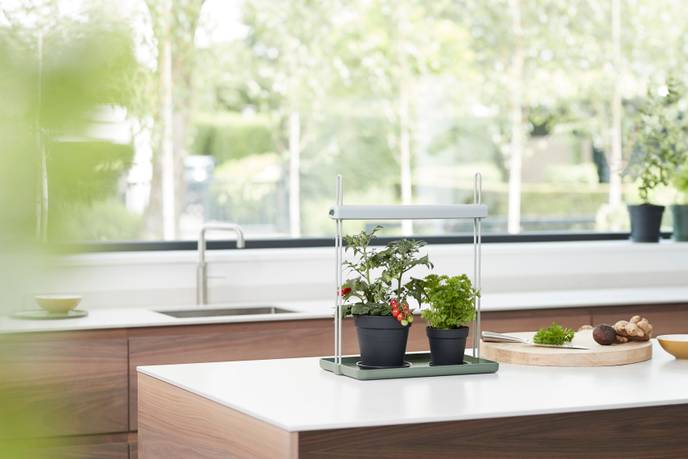 light garden 26cm blad groen